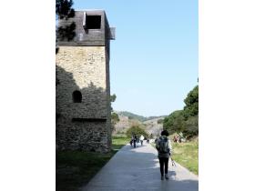 photo coins arrondis